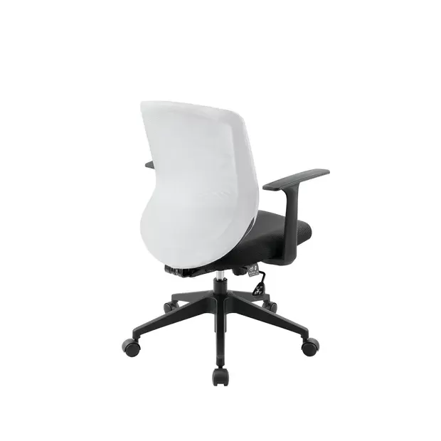 LO02STG_135s.webp